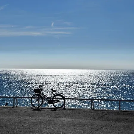 Centre Promenade With Terrace Next To The Sea In The Pedestrian Area * Nizza